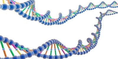 What the Supreme Court Ruling on Genes Means to You